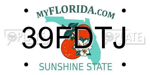 39FDTJ Florida License Plate