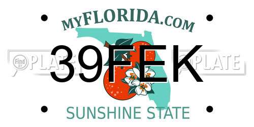39FEK Florida License Plate