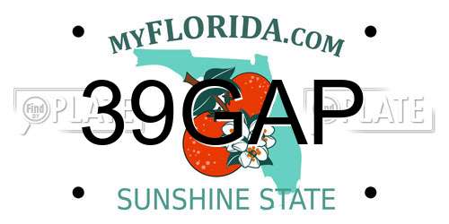 39GAP Florida License Plate