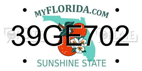 39GE702 Florida License Plate
