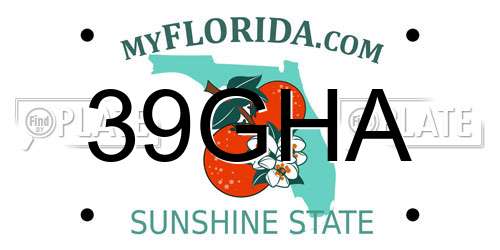 39GHA Florida License Plate