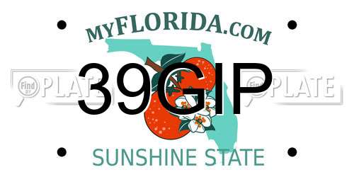 39GIP Florida License Plate