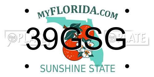 39GSG Florida License Plate