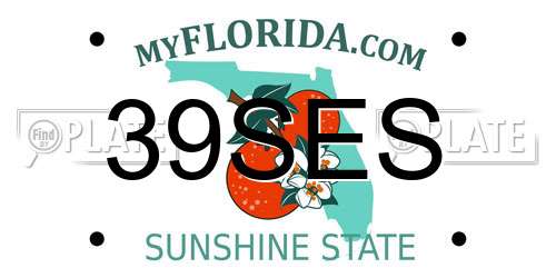 39SES Florida License Plate