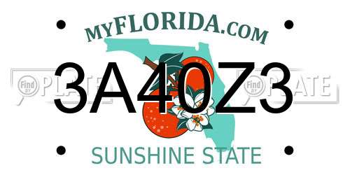 3A40Z3 Florida License Plate