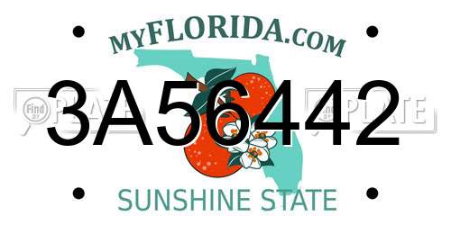 3A56442 Florida License Plate