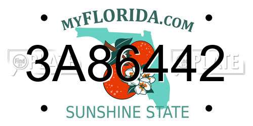3A86442 Florida License Plate