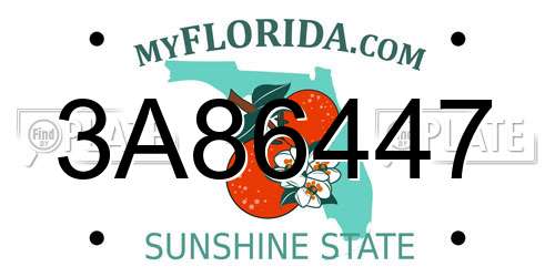 3A86447 Florida License Plate