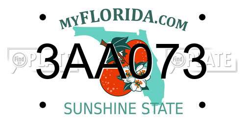 3AA073 Florida License Plate