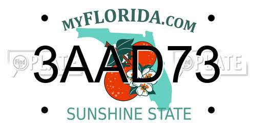 3AAD73 Florida License Plate