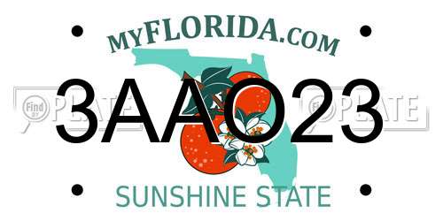 3AAO23 Florida License Plate