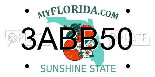 3ABB50 Florida License Plate