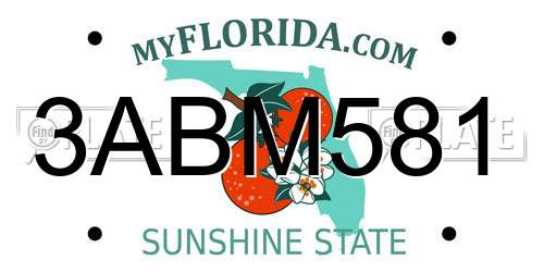 3ABM581 Florida License Plate