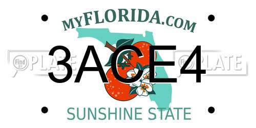 3ACE4 Florida License Plate