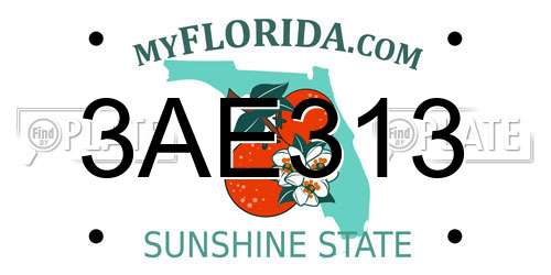 3AE313 Florida License Plate