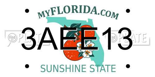 3AEE13 Florida License Plate