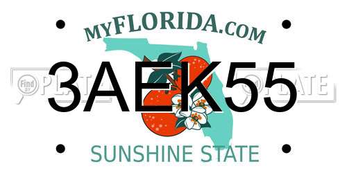 3AEK55 Florida License Plate