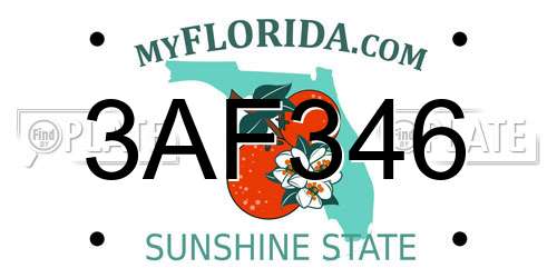 3AF346 Florida License Plate