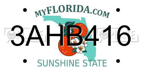 3AHB416 Florida License Plate