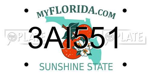 3AI551 Florida License Plate