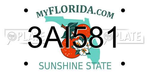 3AI581 Florida License Plate