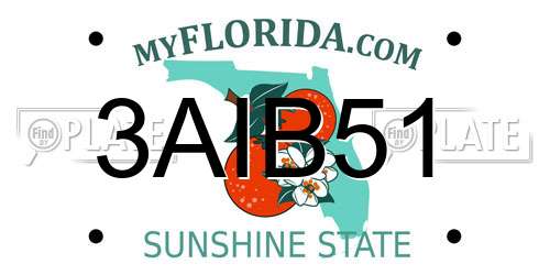 3AIB51 Florida License Plate