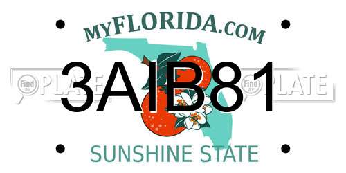 3AIB81 Florida License Plate