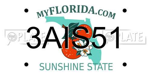 3AIS51 Florida License Plate