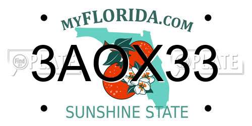 3AOX33 Florida License Plate