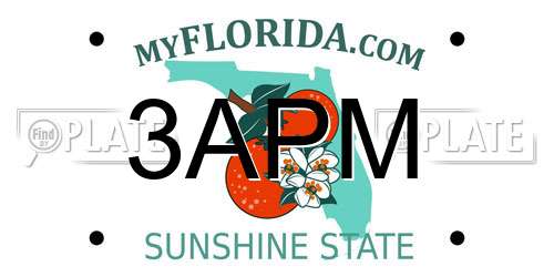 3APM Florida License Plate