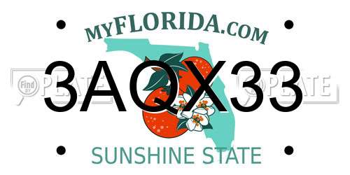 3AQX33 Florida License Plate