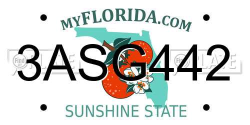 3ASG442 Florida License Plate