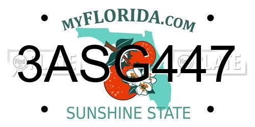 3ASG447 Florida License Plate