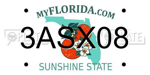 3ASX08 Florida License Plate