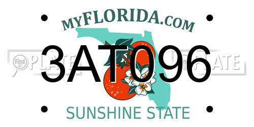3AT096 Florida License Plate