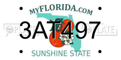 3AT497 Florida License Plate