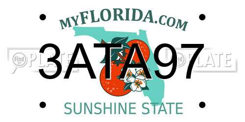3ATA97 Florida License Plate
