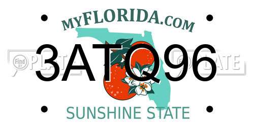 3ATQ96 Florida License Plate