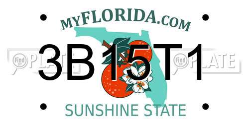 3B15T1 Florida License Plate
