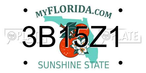 3B15Z1 Florida License Plate