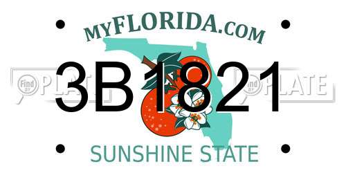 3B1821 Florida License Plate