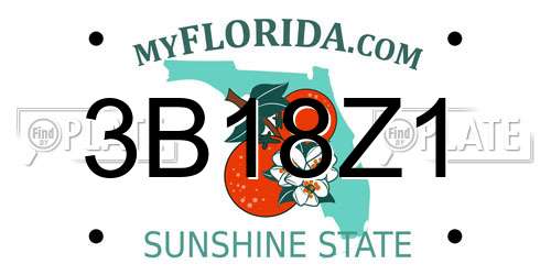 3B18Z1 Florida License Plate