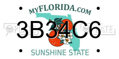 3B34C6 Florida License Plate