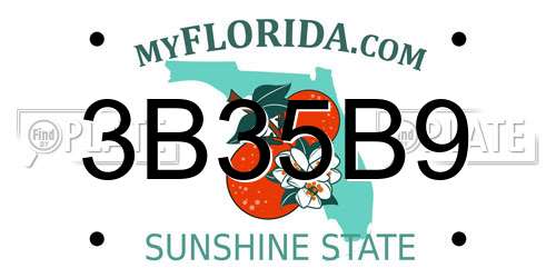 3B35B9 Florida License Plate