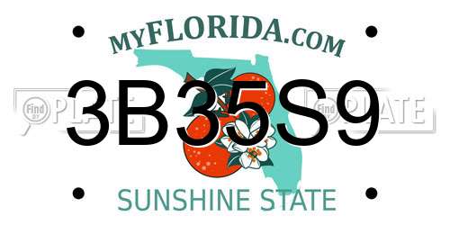 3B35S9 Florida License Plate