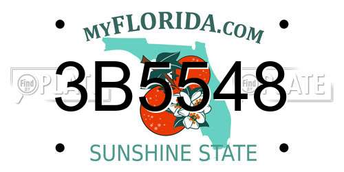 3B5548 Florida License Plate