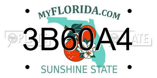 3B60A4 Florida License Plate