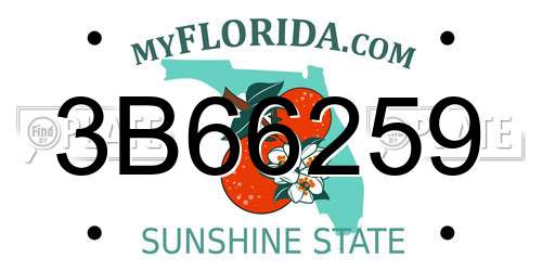 3B66259 Florida License Plate