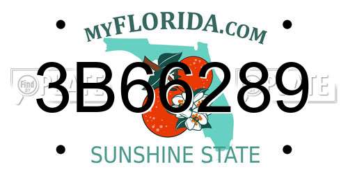 3B66289 Florida License Plate