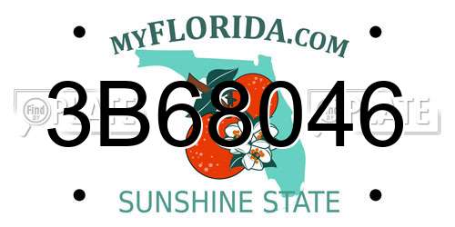 3B68046 Florida License Plate